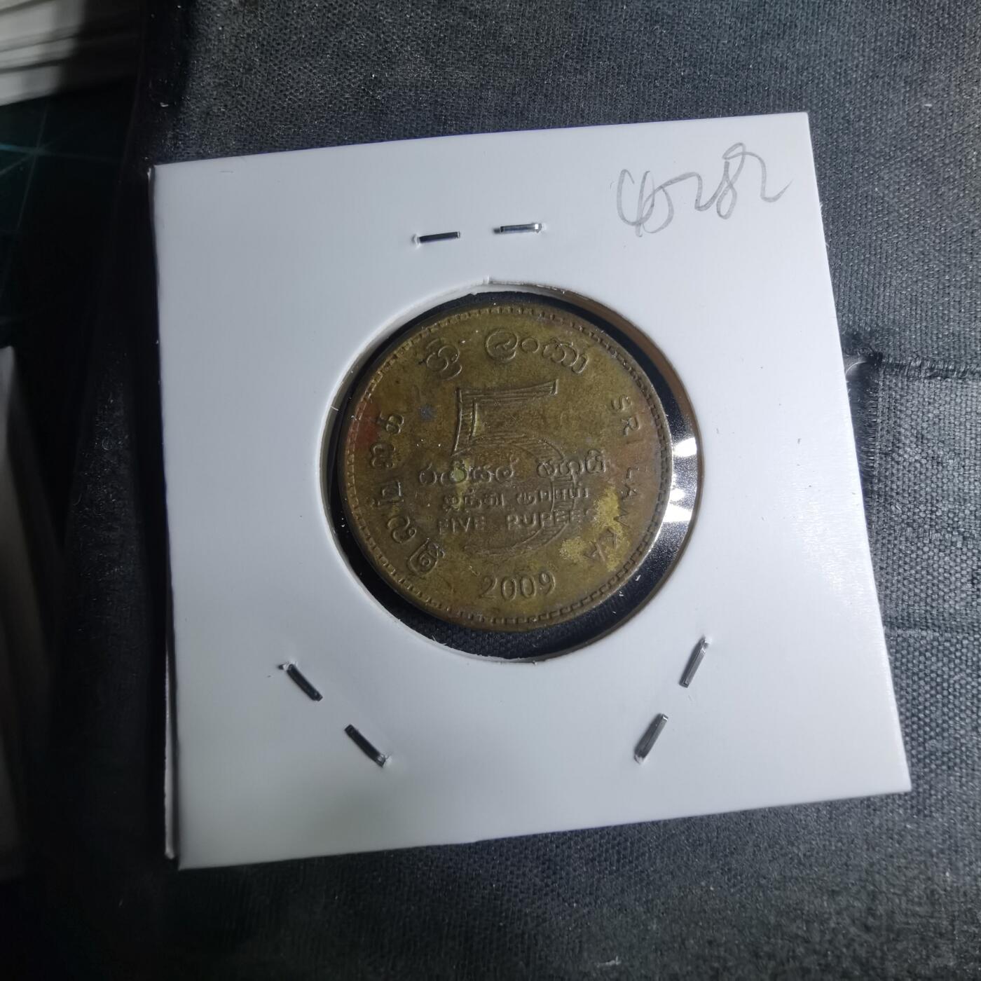 沼泽如烟--第945场