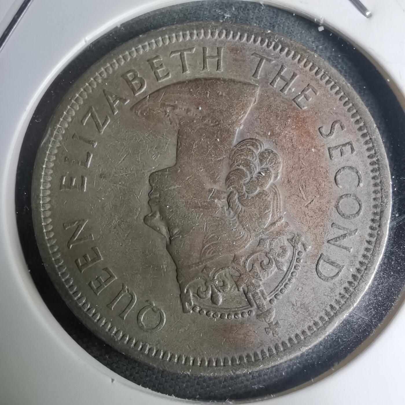 沼泽如烟--第945场