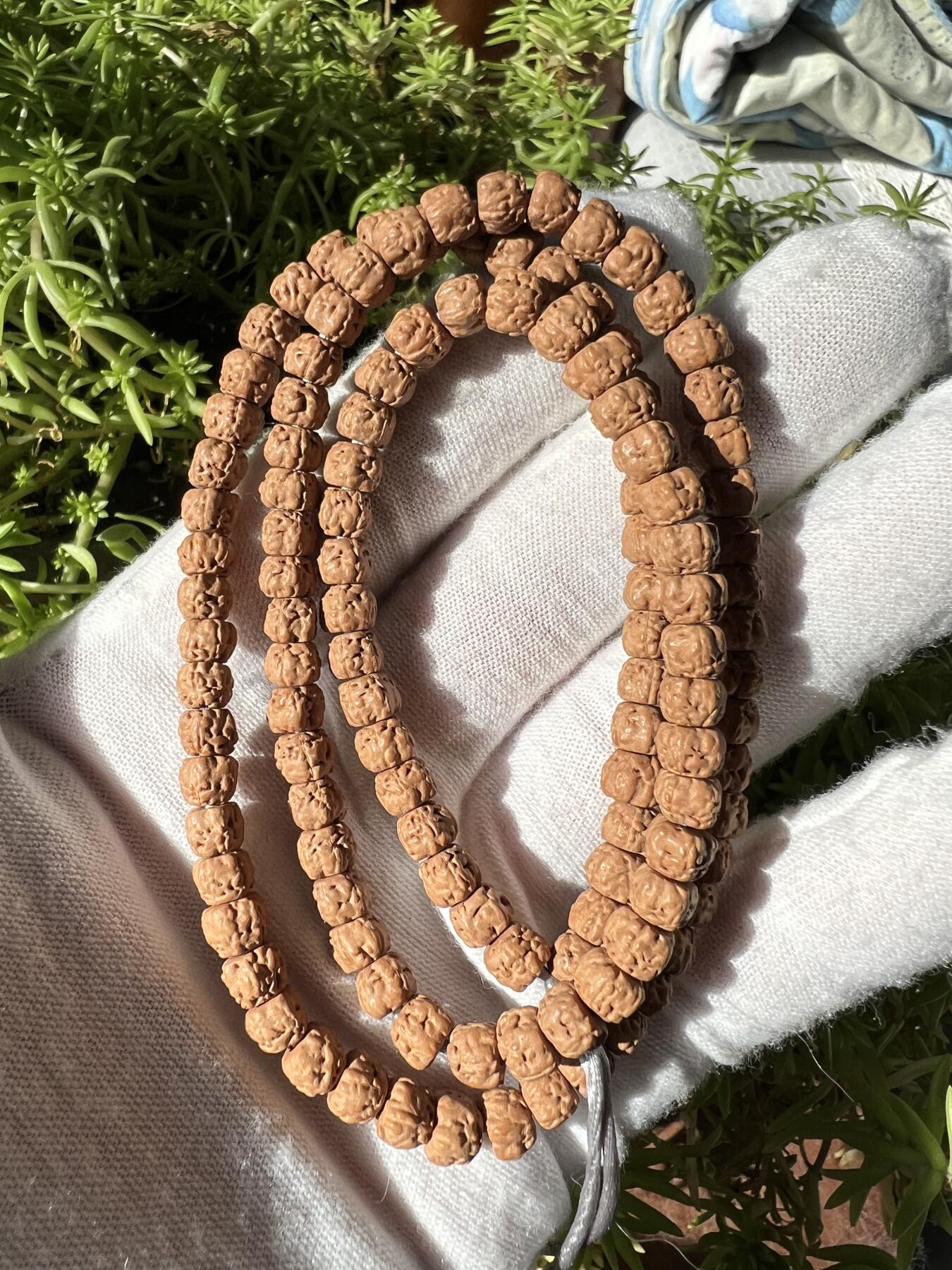 零元拍：龙切 五爪金龙小佛手长串6.5 MM左右，非常容易变红，坊间人称三日红，很容易有盘玩成就感。后图是自己佩戴不到三个月效果