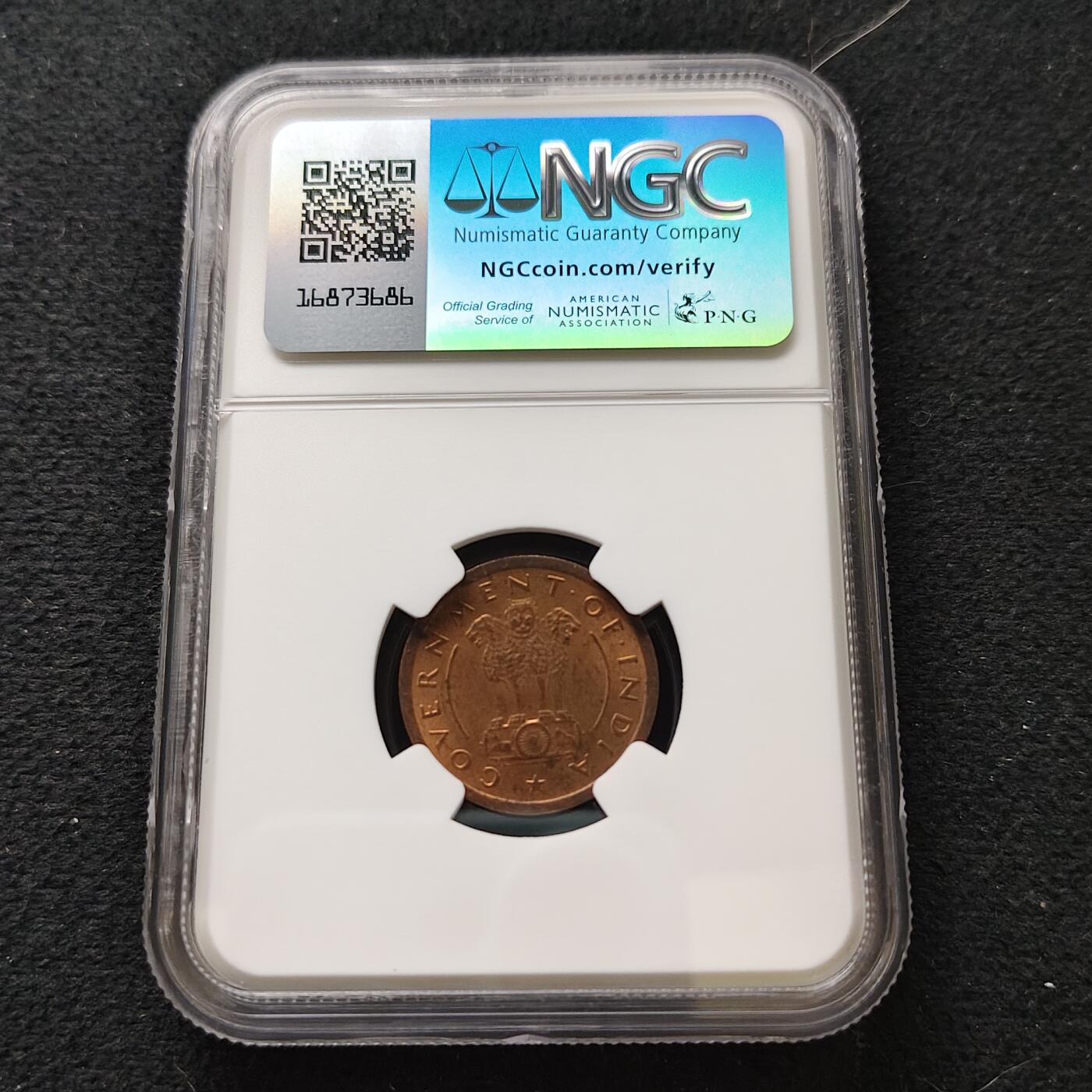 【全场包邮】纯粹捡漏拍489场（免费代拍第26场）