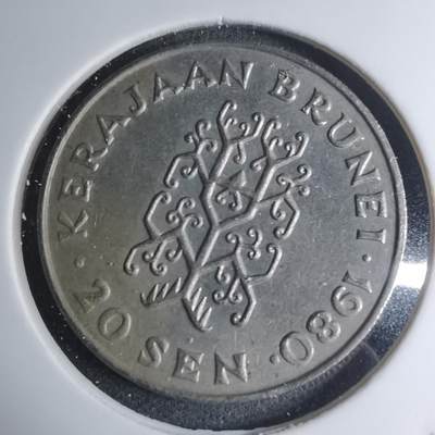 沼泽如烟--第945场 - 文莱1980年20分