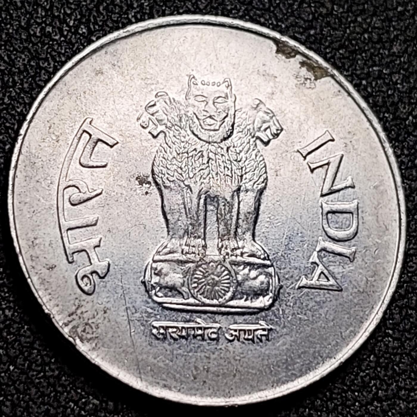 泉币菌-第154场-圣诞节专场 。