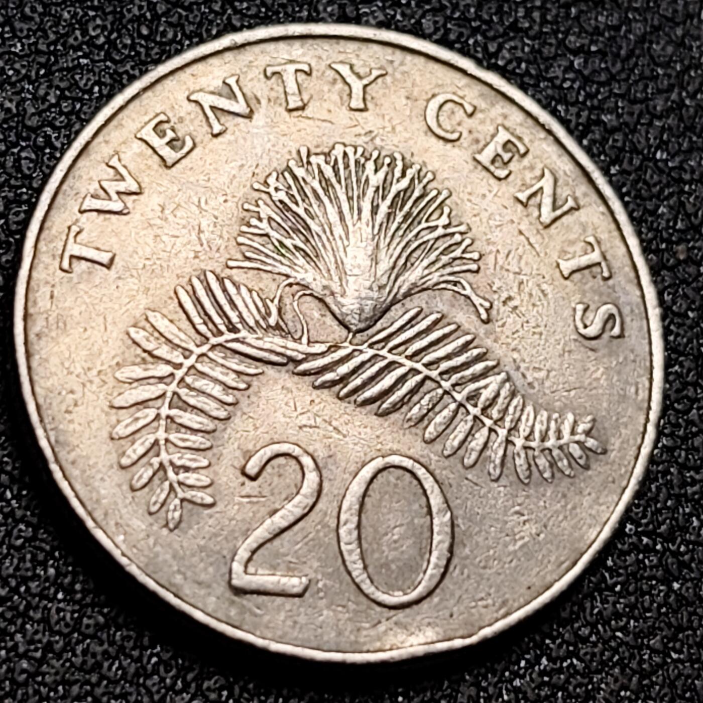 泉币菌-第154场-圣诞节专场 。