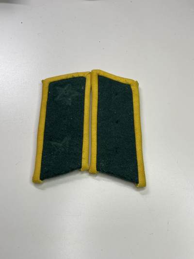 新时代收藏徽章红藏拍卖(第二十九场)  徽章纸品证书杂项 - 朝鲜社会安全军领章 朝鲜女交警照片中经常出现