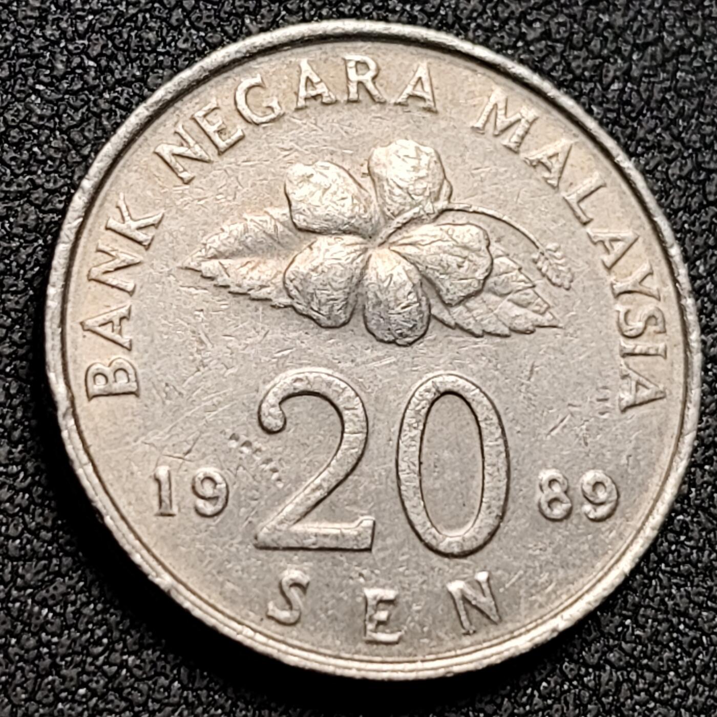 泉币菌-第154场-圣诞节专场 。