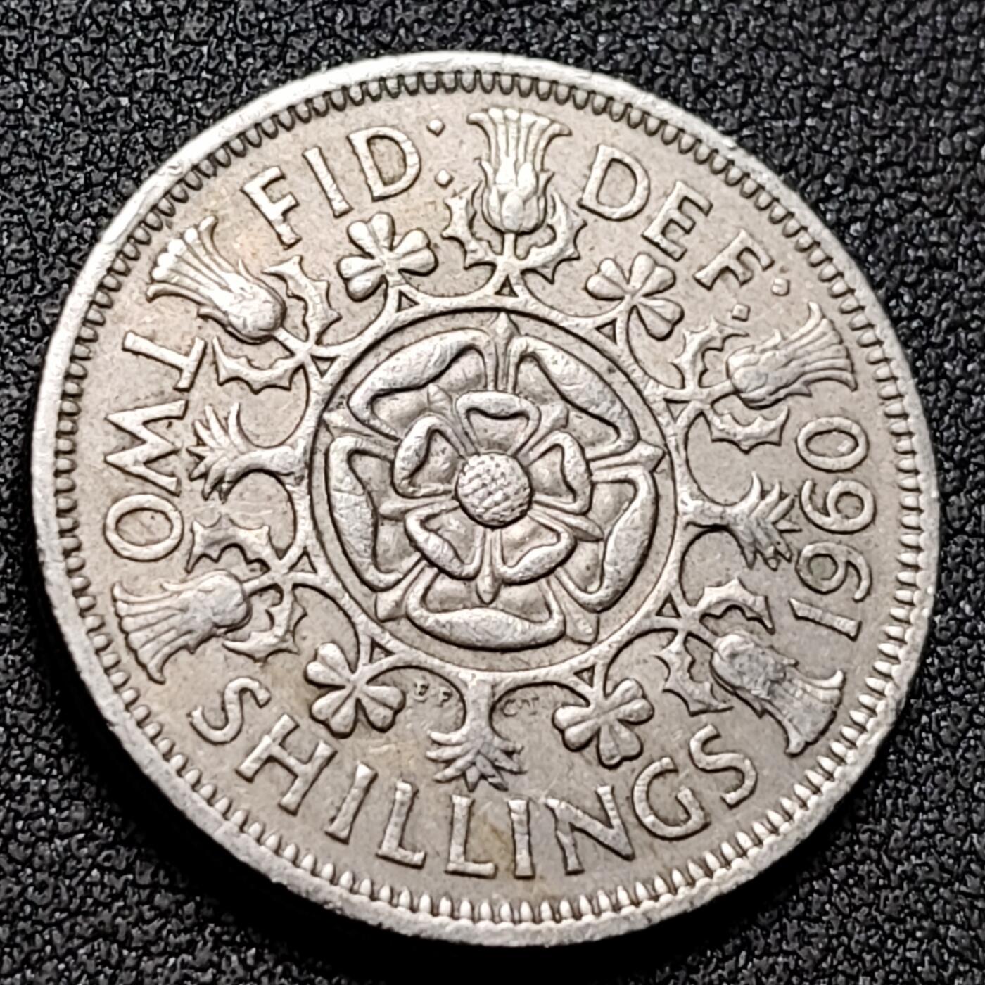 泉币菌-第154场-圣诞节专场 。