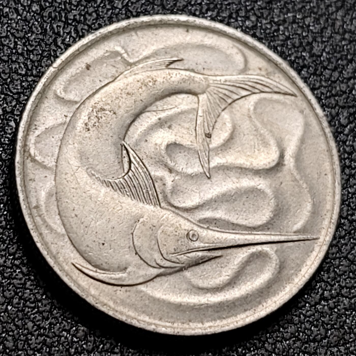 泉币菌-第154场-圣诞节专场 。