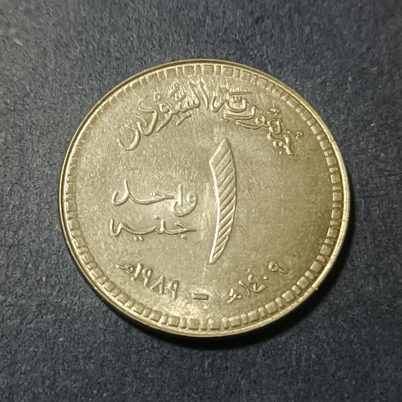 【游宝包邮场】蛇年第102期 英系国家硬币 苏丹-1镑 1989年