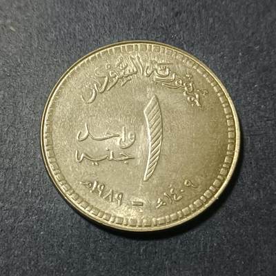 【游宝包邮场】蛇年第102期 英系国家硬币 - 苏丹-1镑 1989年