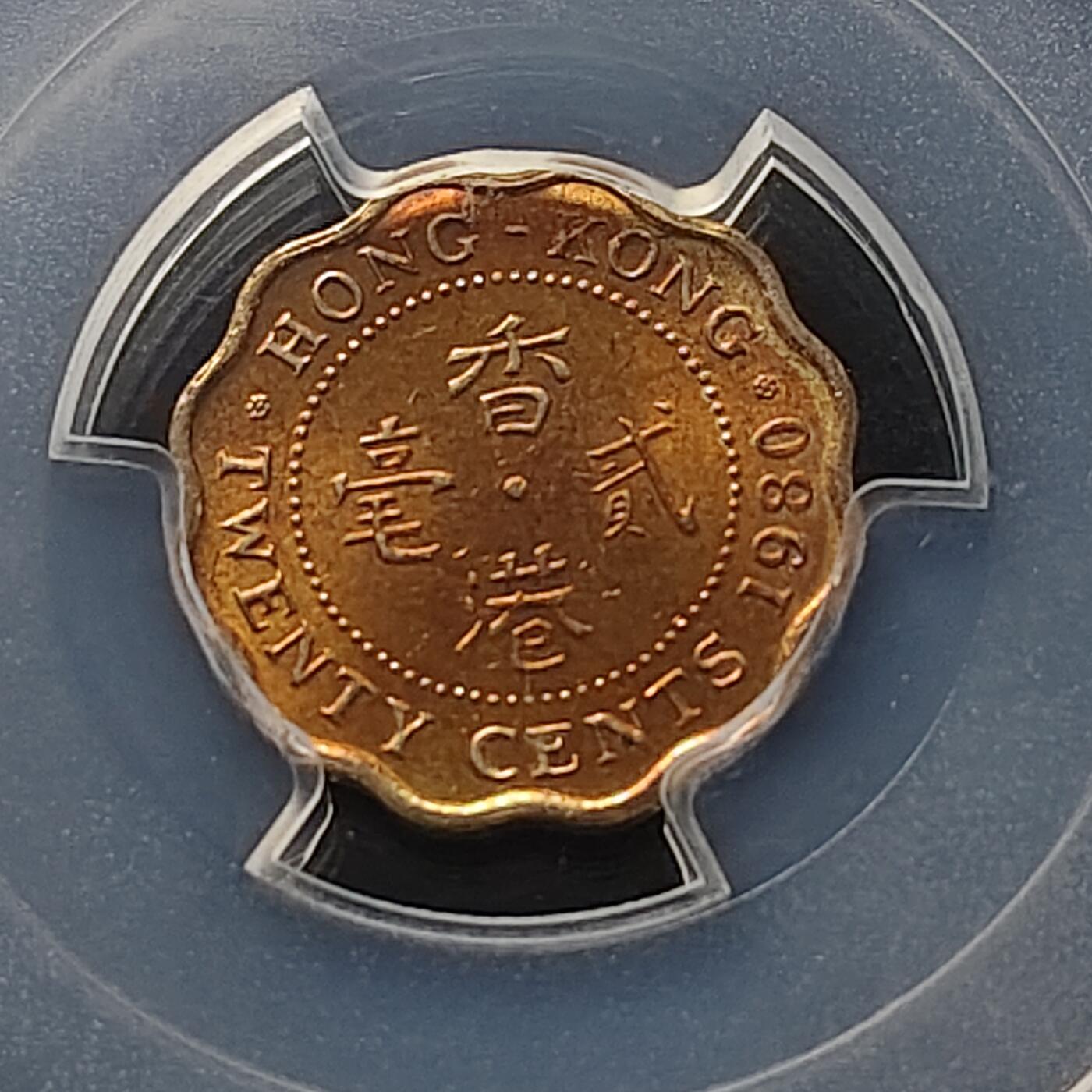 【全场包邮】纯粹捡漏拍489场（免费代拍第26场）