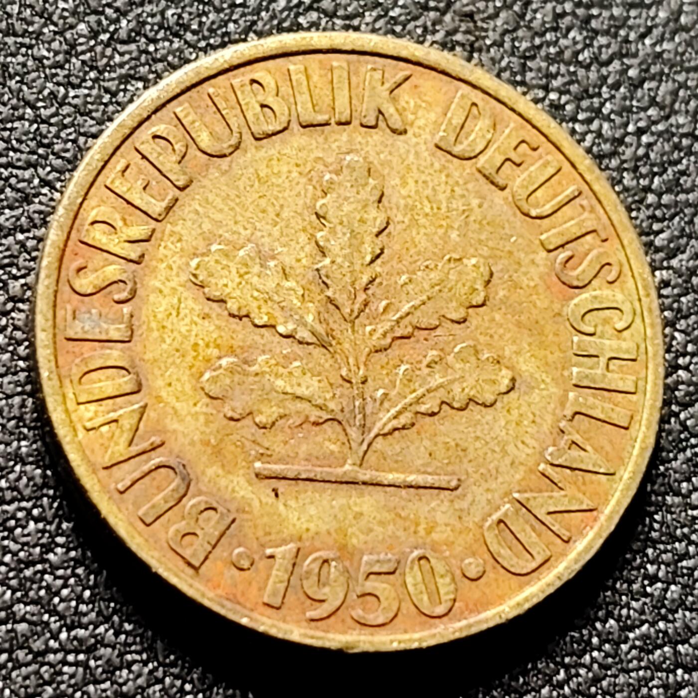 泉币菌-第154场-圣诞节专场 。