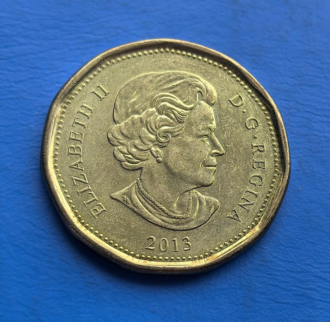 外国优质老铜币高银银币，周六九点倒数截拍，满百包邮，持续收拍 加拿大2013 年壹元硬币，主体为金色，正面是伊丽莎白二世头像，背面有潜鸟等图案 。具有加拿大货币文化特色，年份明确，币面设计展现自然与人文元素，适合钱币收藏爱好者，能丰富外币收藏品类 。