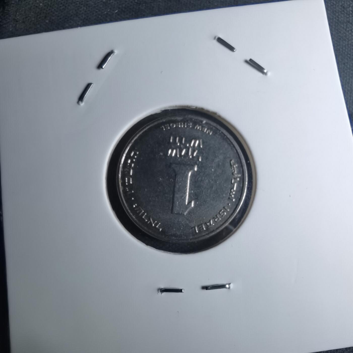 沼泽如烟--第945场