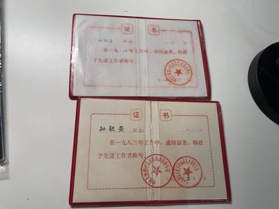 新时代收藏徽章红藏拍卖(第二十九场)  徽章纸品证书杂项 - 8384严打时期先进生产者证书两本一套