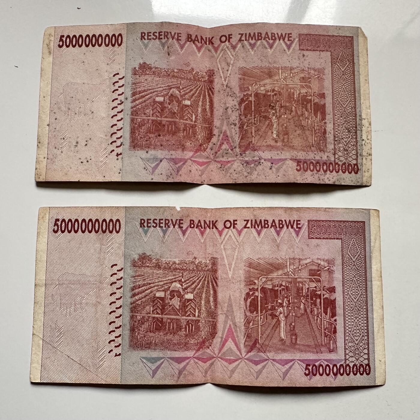 🌹外币初藏🌹🐯2025年第145场  每周二四六晚8️⃣点 接代拍 津巴布韦2008版50亿2张 —13