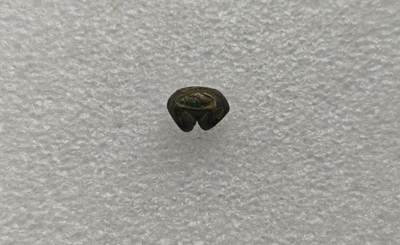 瓶子🏺第222期拍卖会 -  素可泰王朝象形海螺图案屁股锭银锭