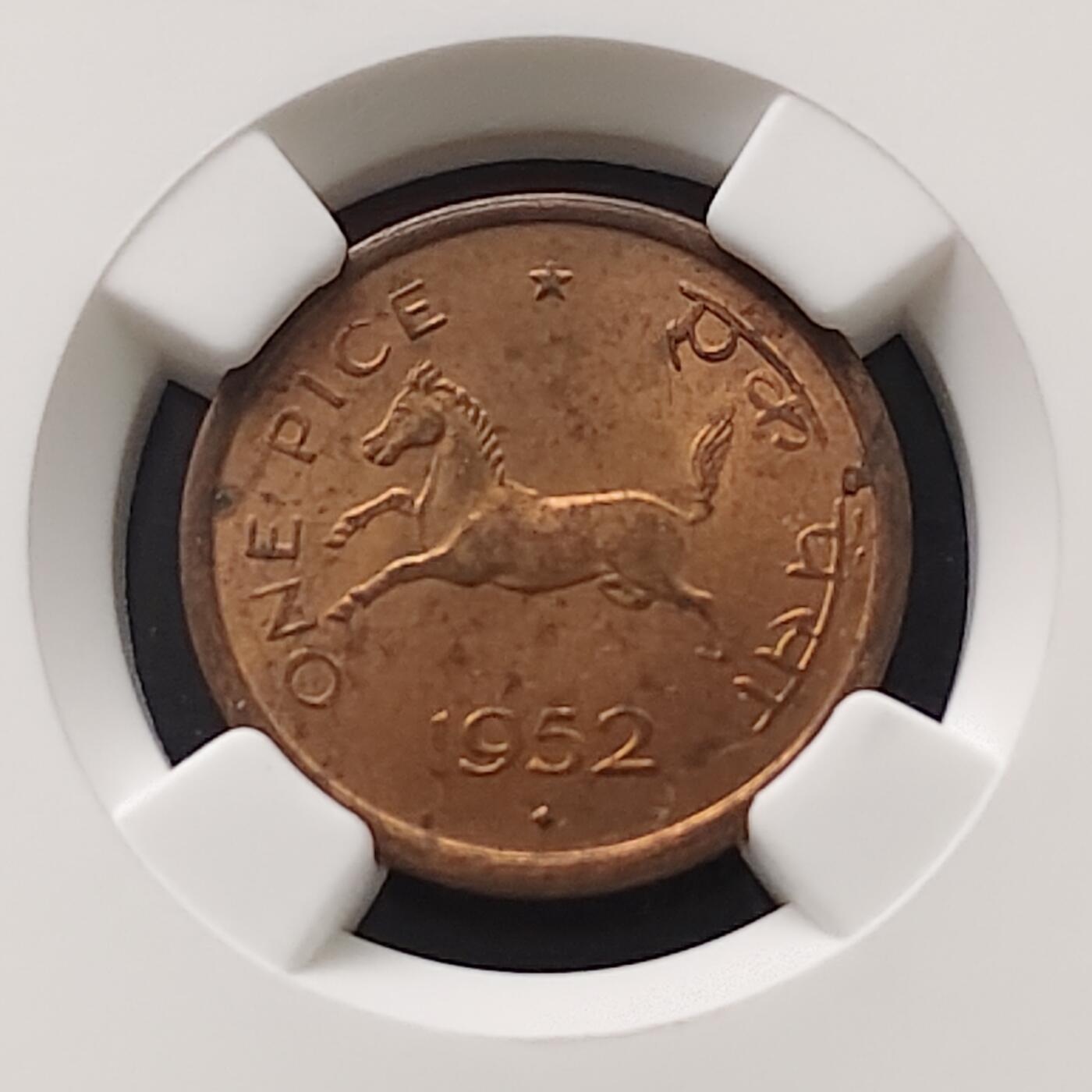 【全场包邮】纯粹捡漏拍489场（免费代拍第26场）