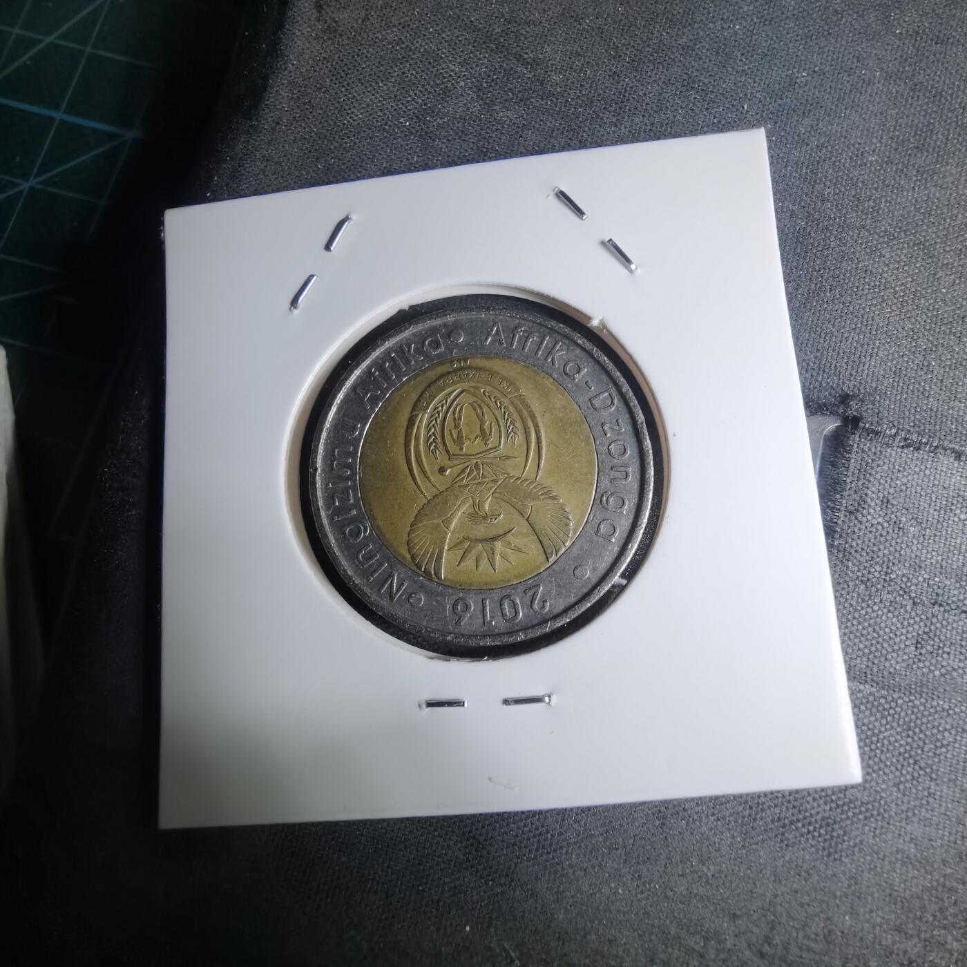 沼泽如烟--第945场