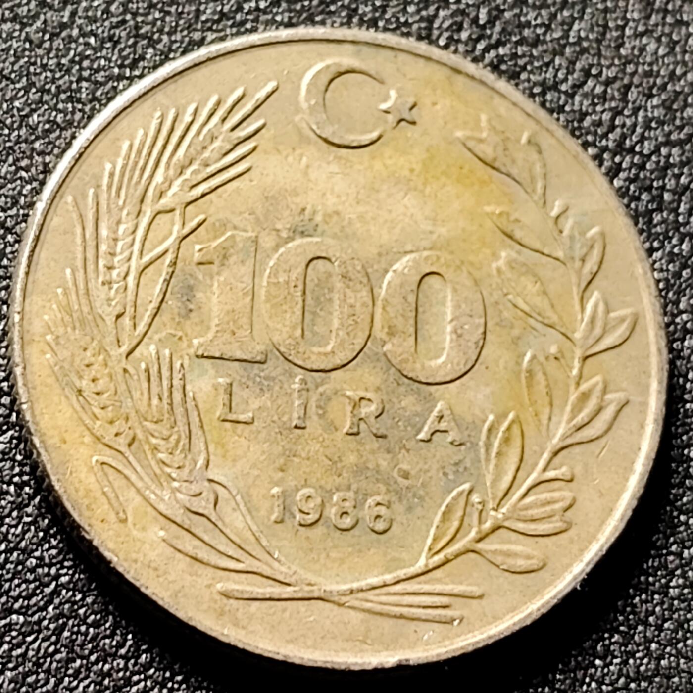 泉币菌-第154场-圣诞节专场 。