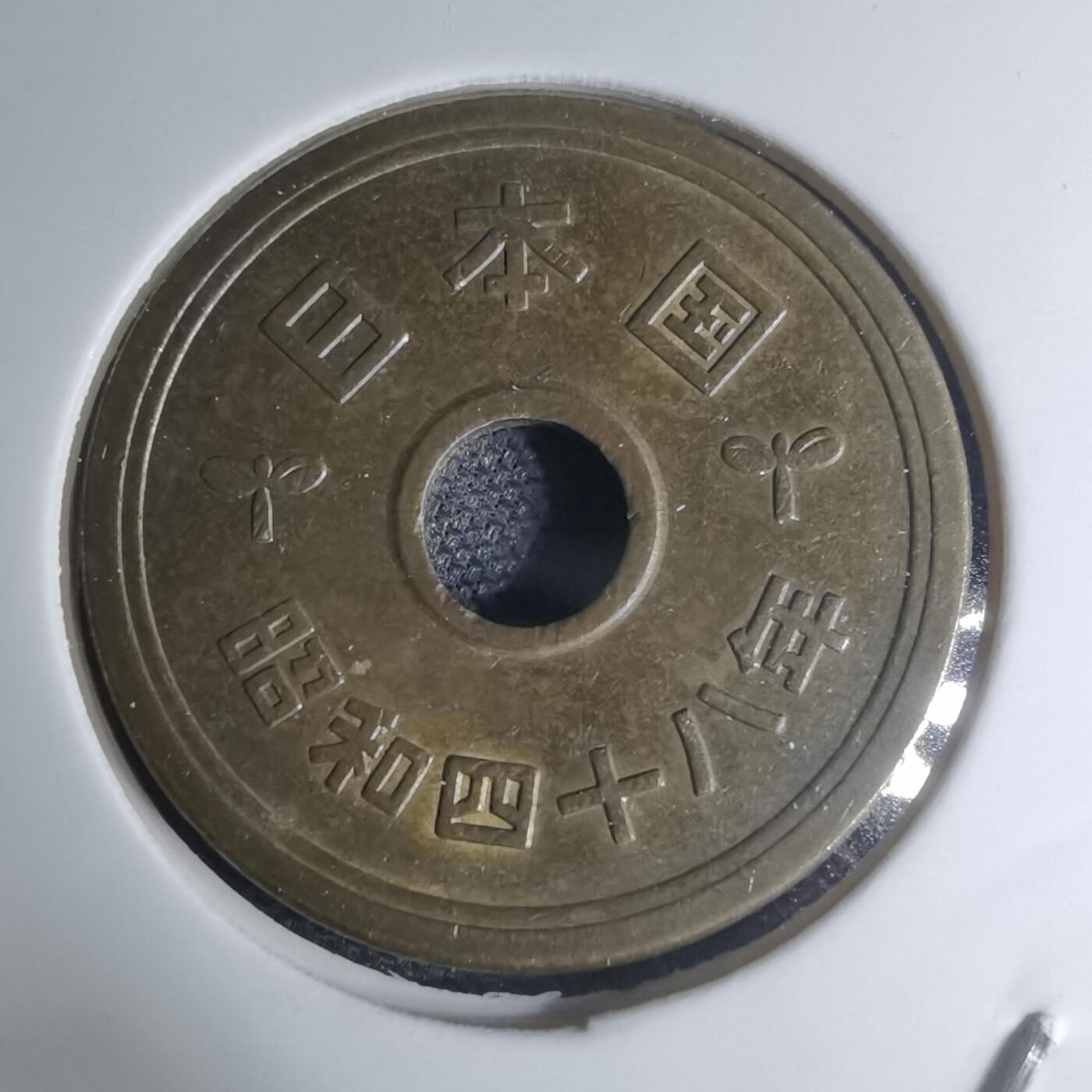 沼泽如烟--第945场