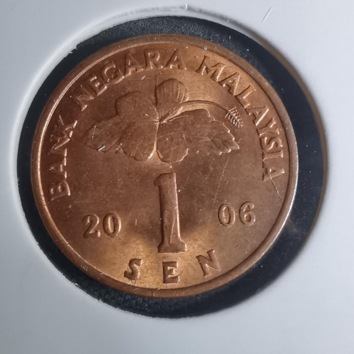 沼泽如烟--第945场