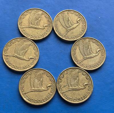 外国优质老铜币高银银币，周六九点倒数截拍，满百包邮，持续收拍 - 新西兰2元6枚