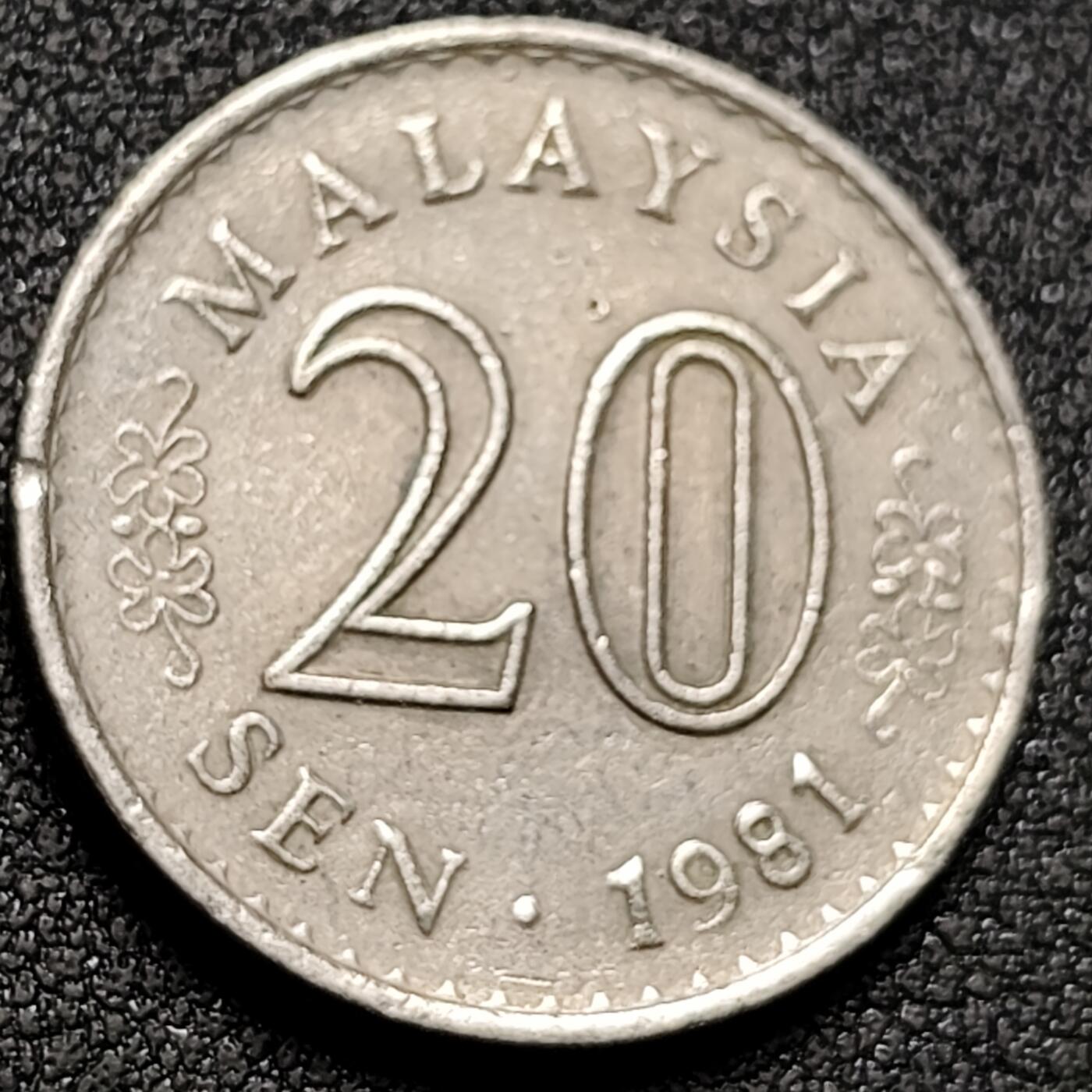 泉币菌-第154场-圣诞节专场 。