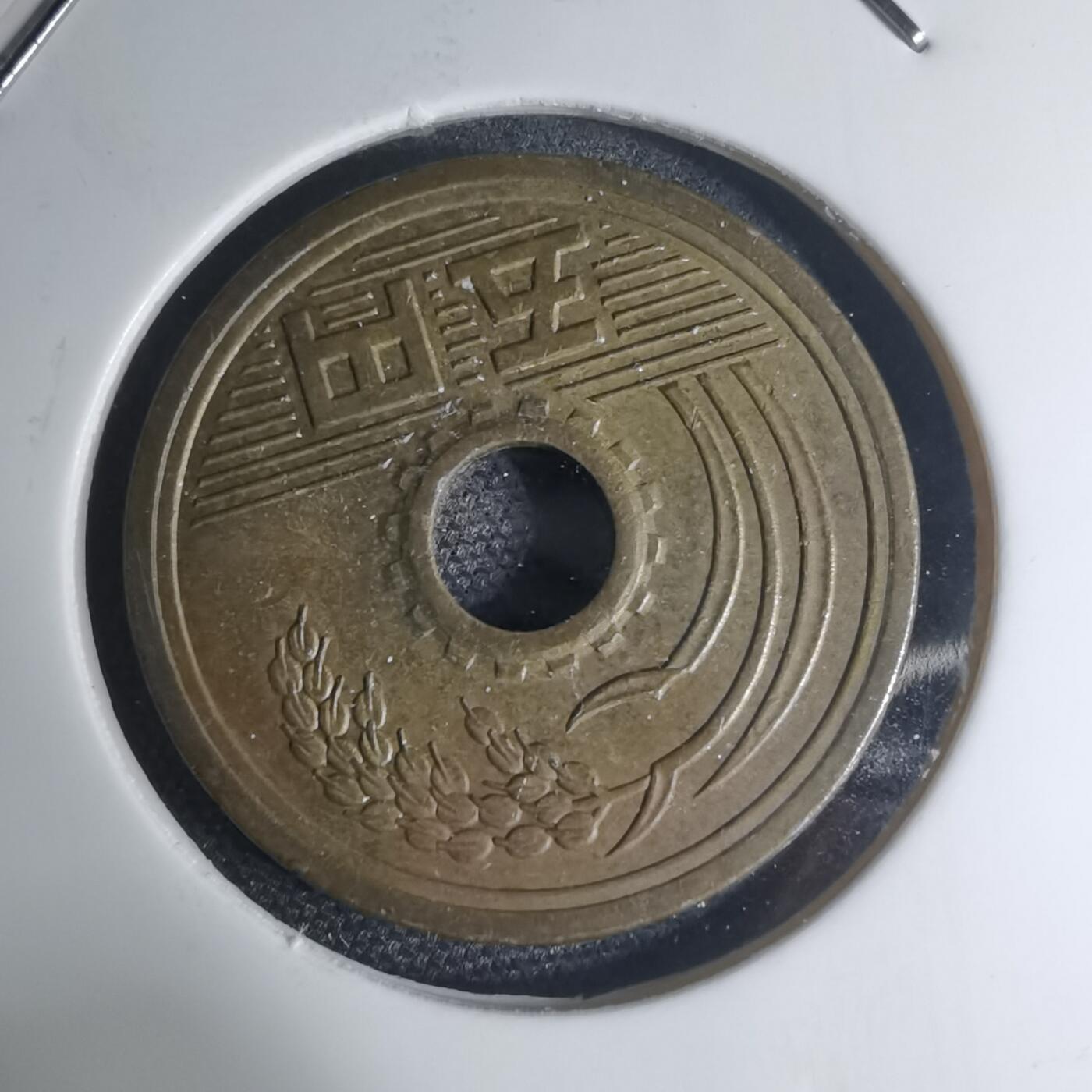 沼泽如烟--第945场 平成四年年五元