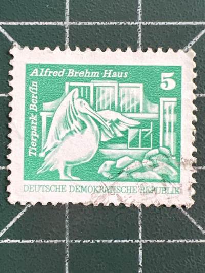 第1084 邮票专场 （无押金，捡漏，全场50包邮，偏远地区除外，接收代拍业务，本店十天发一次货） - 德国邮票