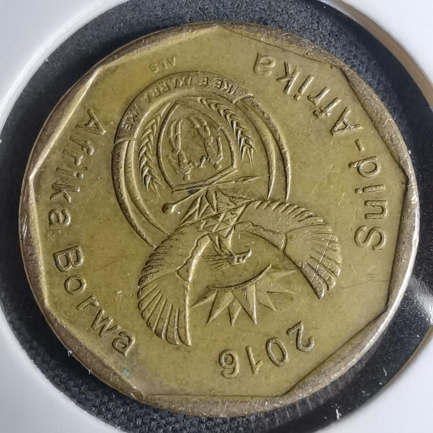 沼泽如烟--第945场