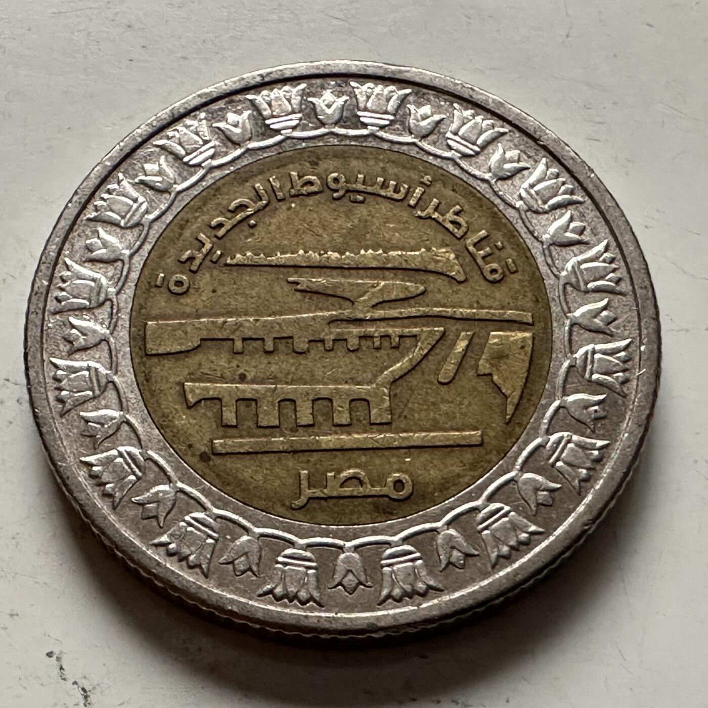 🌹外币初藏🌹🐯2025年第145场  每周二四六晚8️⃣点 接代拍 埃及2019年1镑纪念币