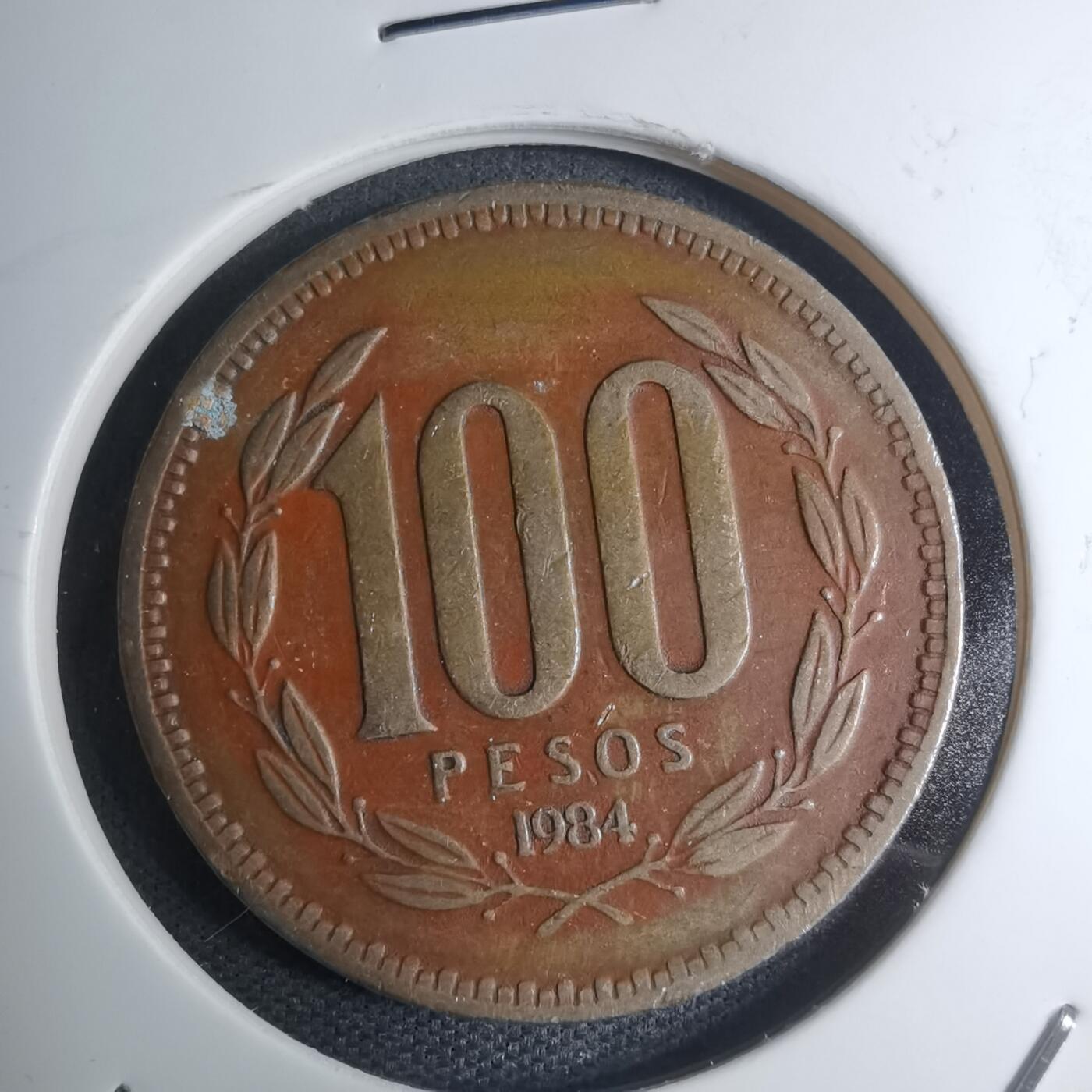 沼泽如烟--第945场 智利1984年100比索