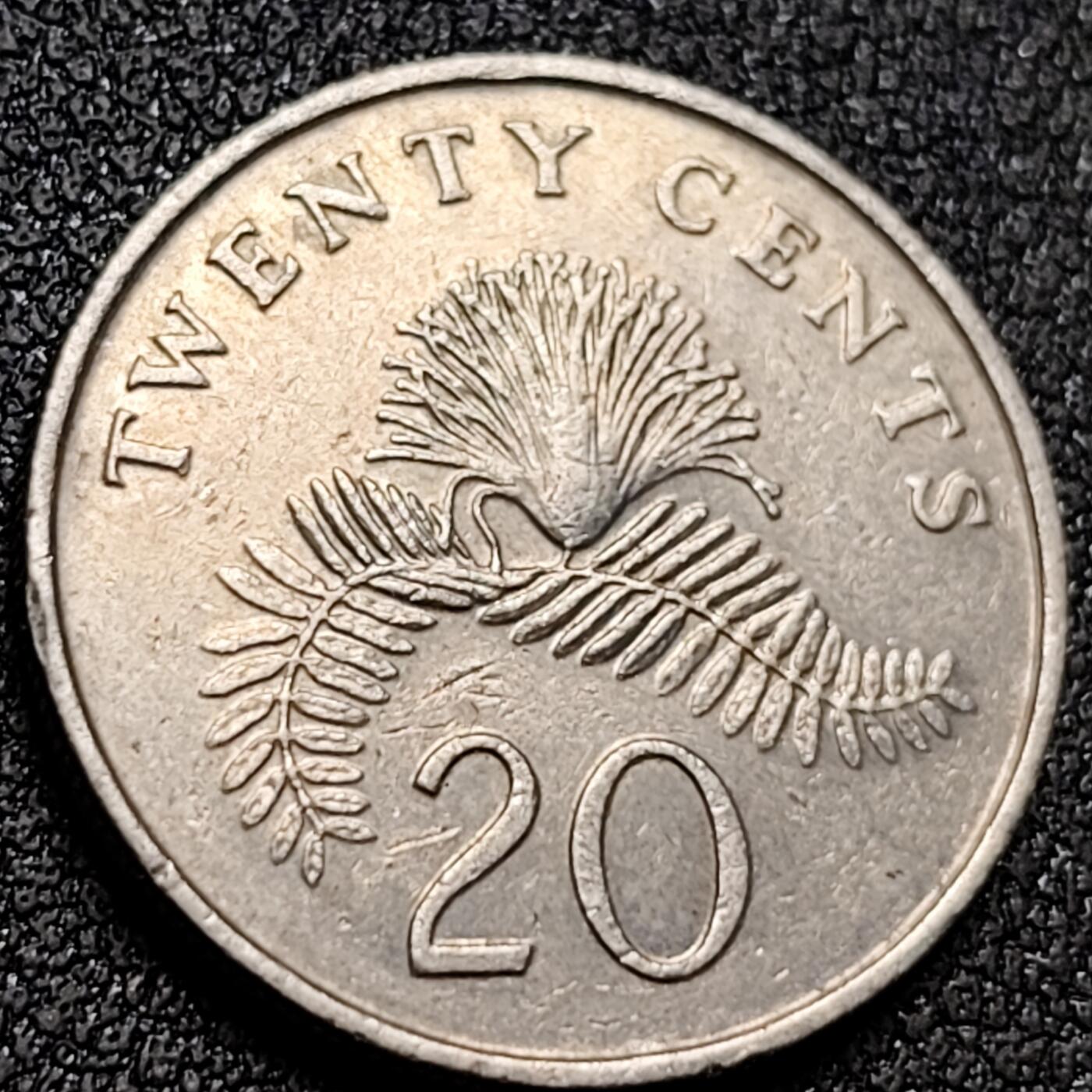 泉币菌-第154场-圣诞节专场 。