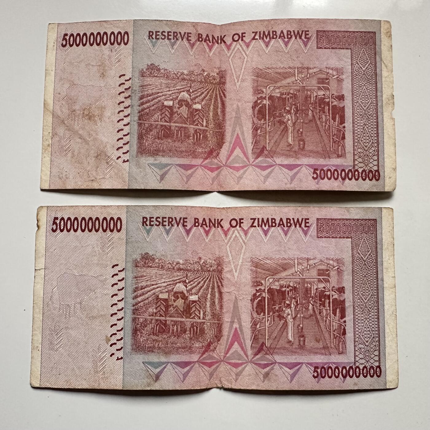 🌹外币初藏🌹🐯2025年第145场  每周二四六晚8️⃣点 接代拍 津巴布韦2008版50亿2张 —14