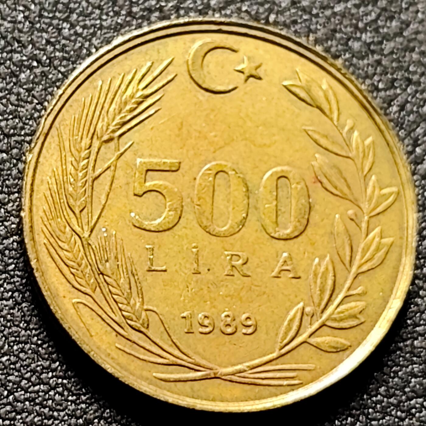 泉币菌-第154场-圣诞节专场 。