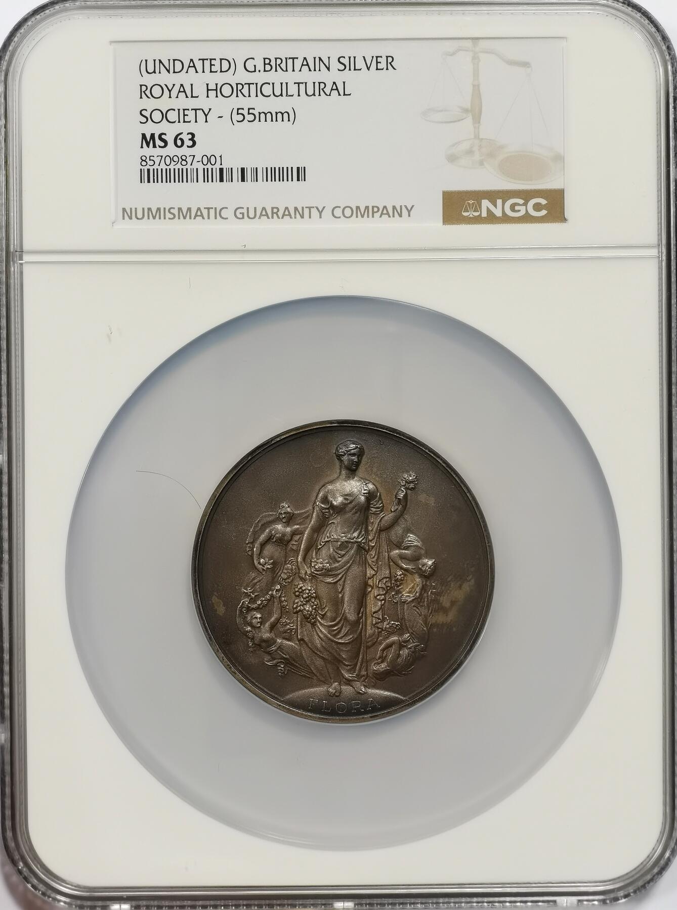 博洋堂“岁启嘉年”2026新年精品大拍专场暨第155期（全场包邮） NGC MS63 英国1891年皇家园艺学会女神镀金大银章，今年7月AW大拍62分都拍了接近9000元