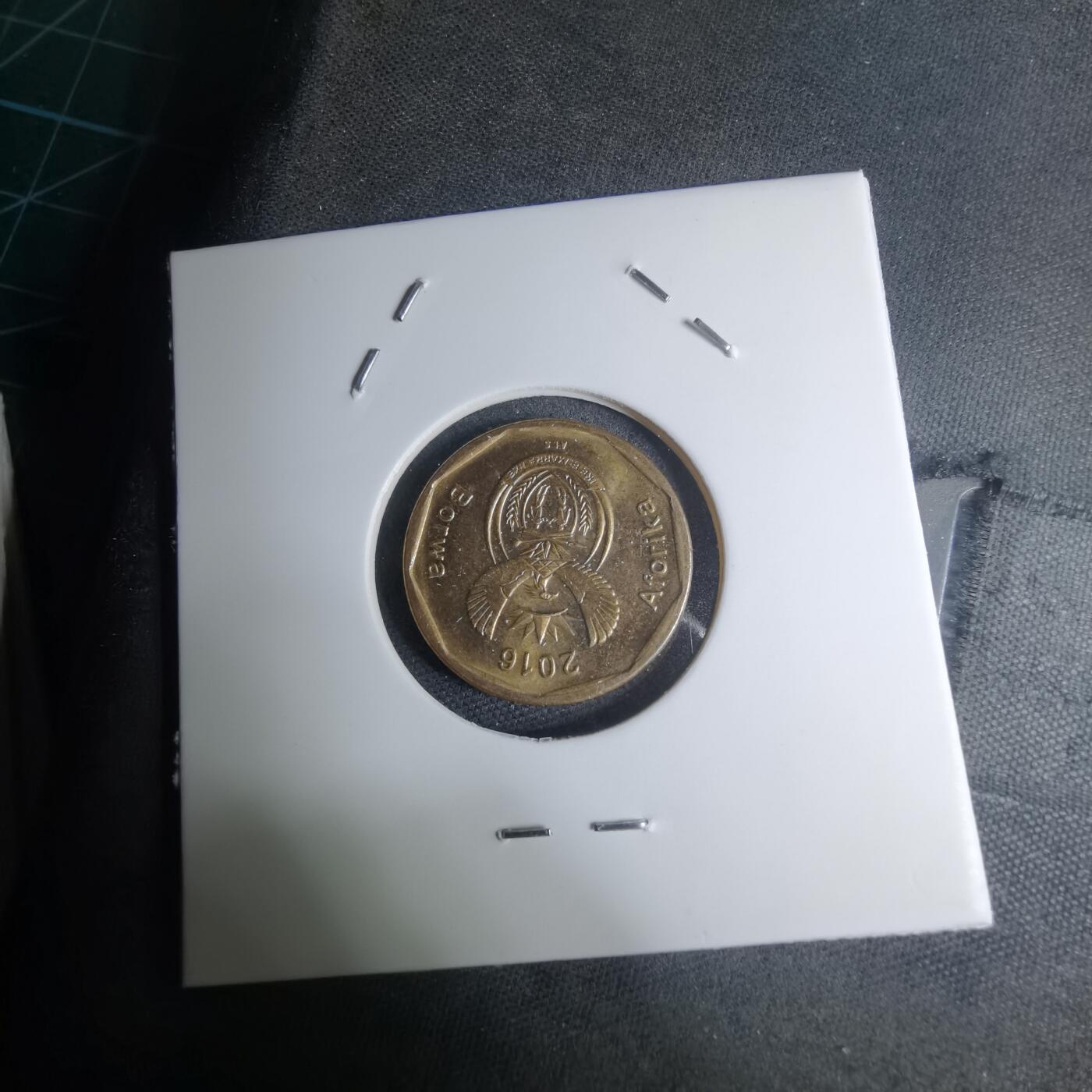 沼泽如烟--第945场