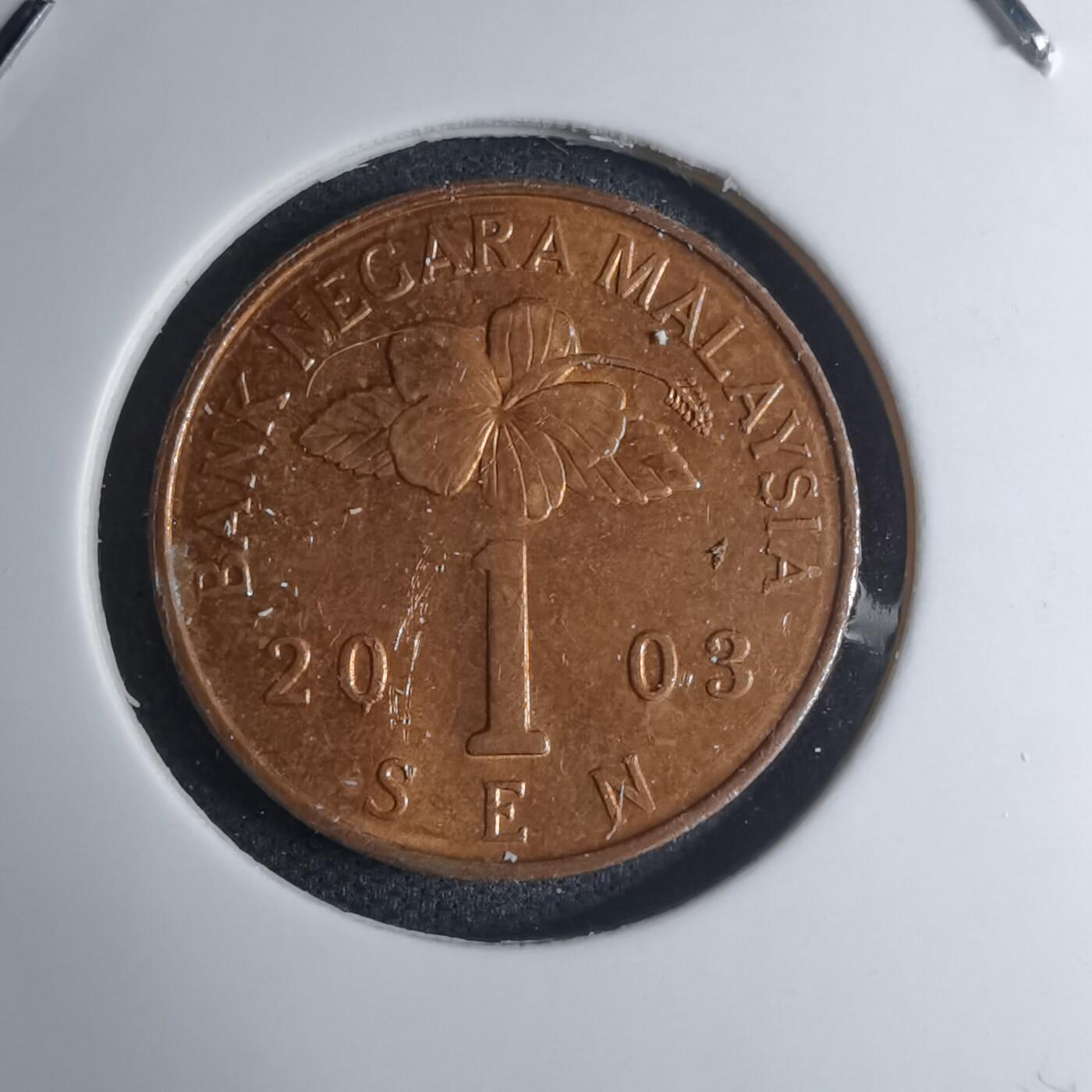 沼泽如烟--第945场