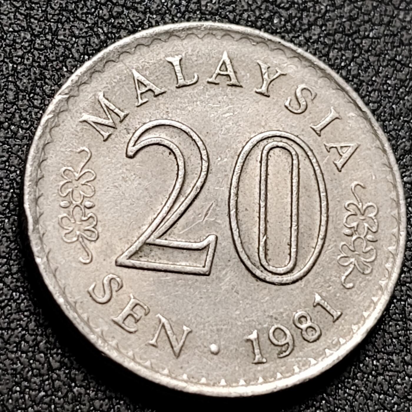 泉币菌-第154场-圣诞节专场 。