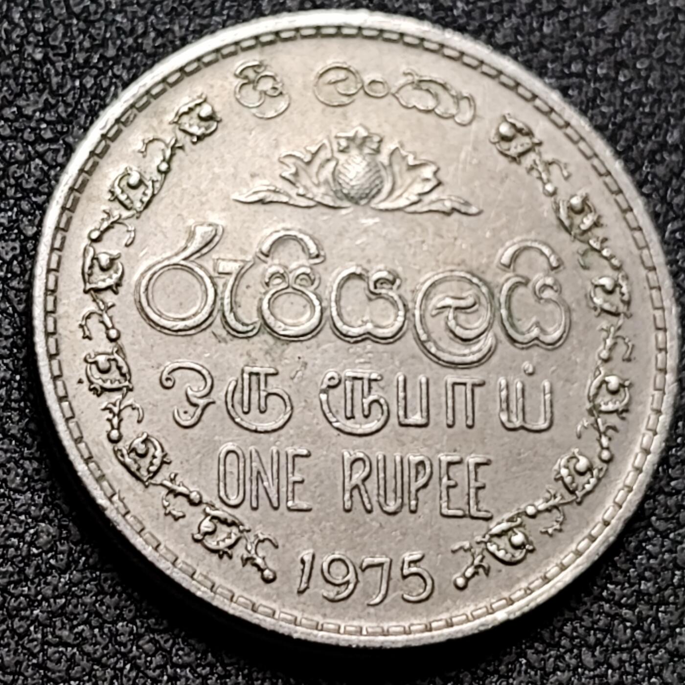 泉币菌-第154场-圣诞节专场 。