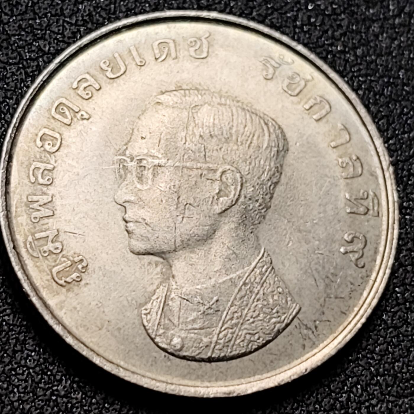 泉币菌-第154场-圣诞节专场 。