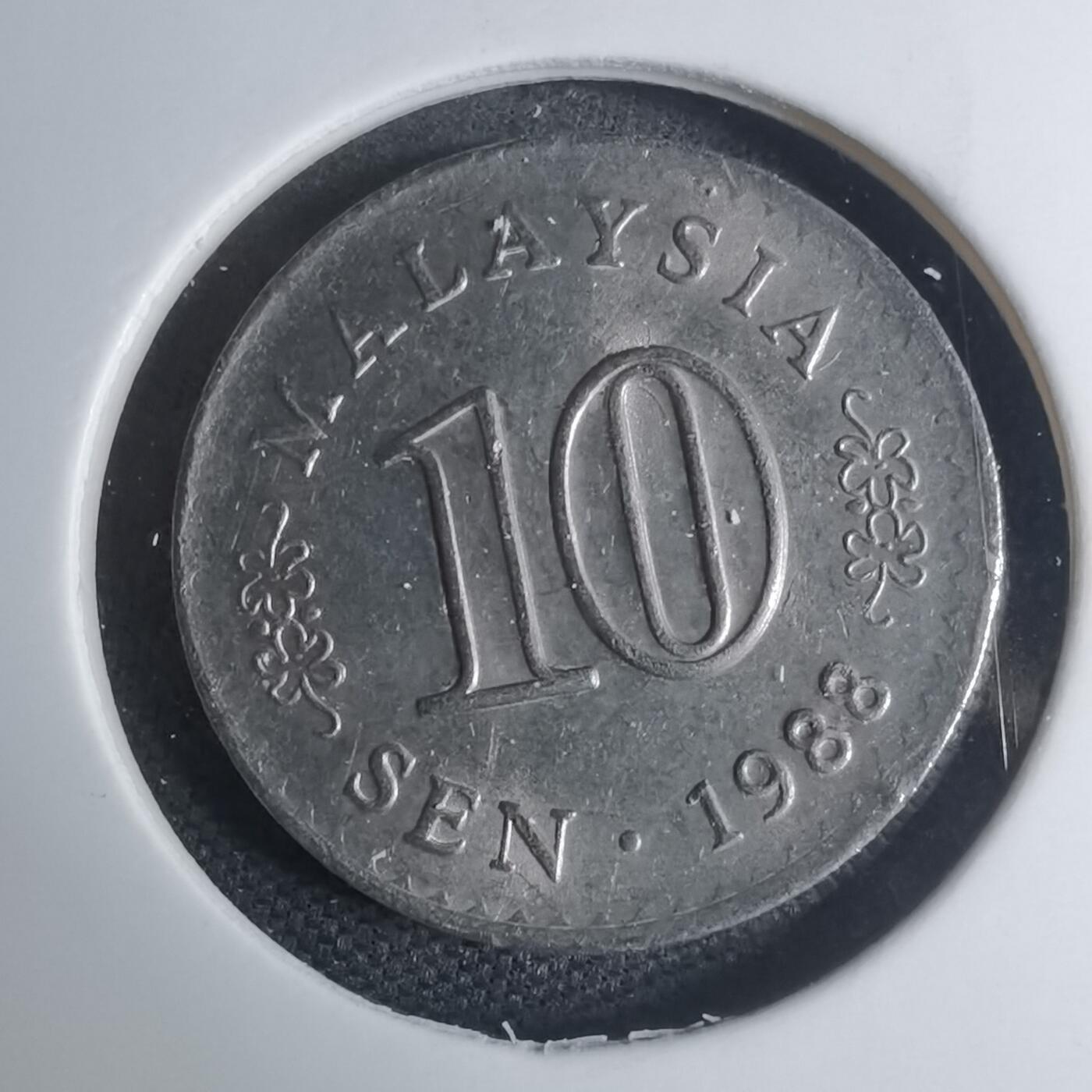 沼泽如烟--第945场