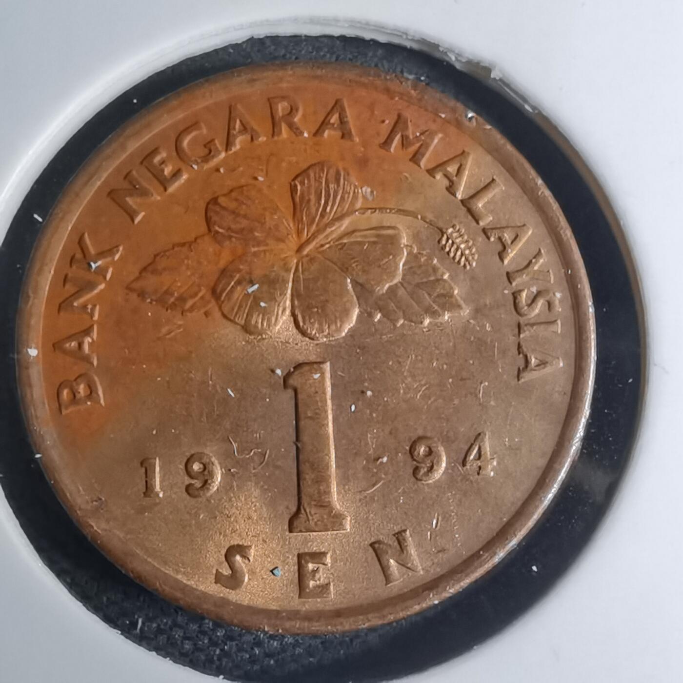 沼泽如烟--第945场