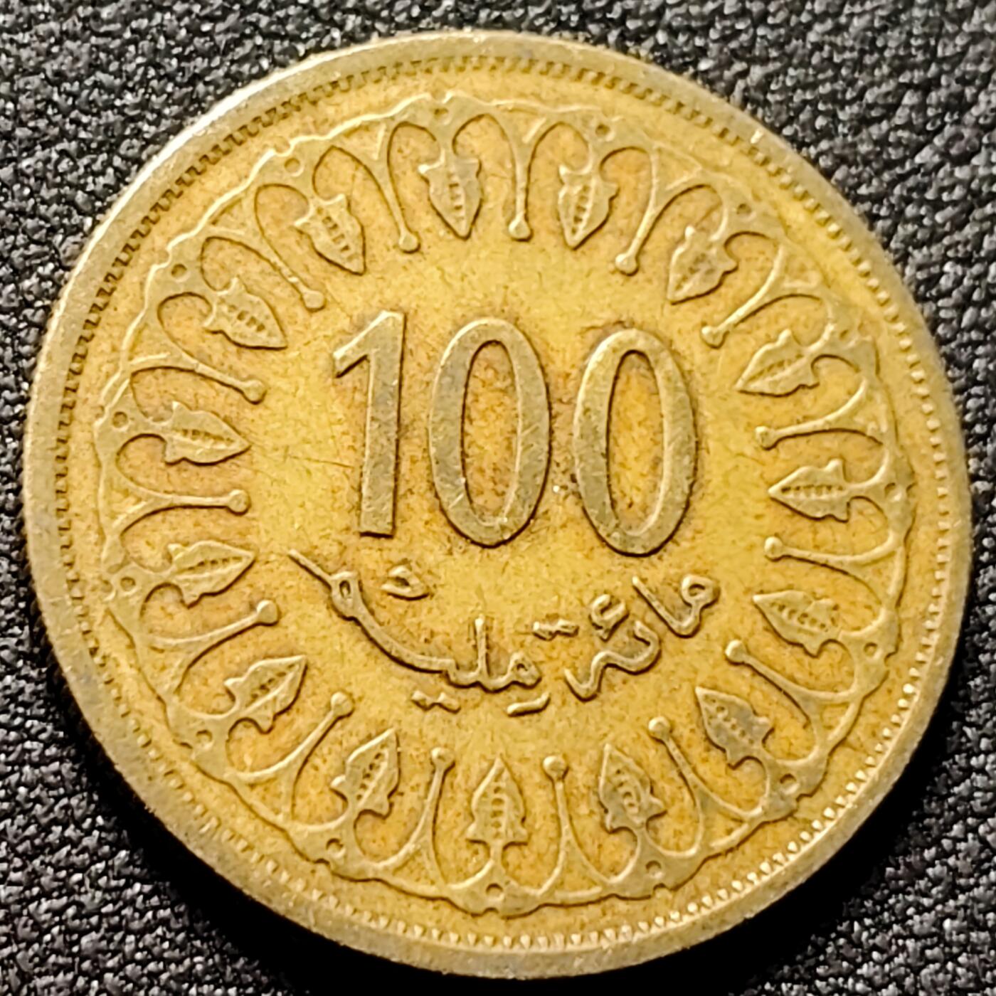 泉币菌-第154场-圣诞节专场 。