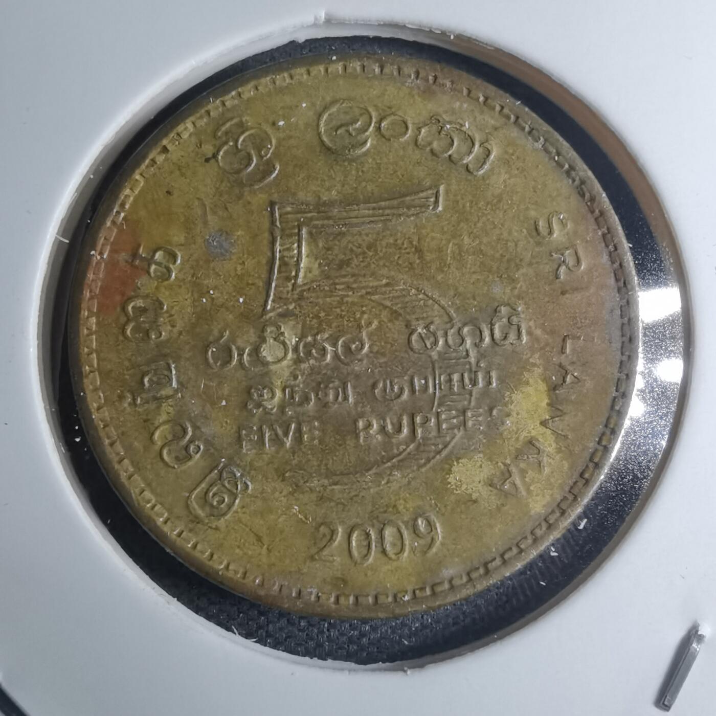 沼泽如烟--第945场