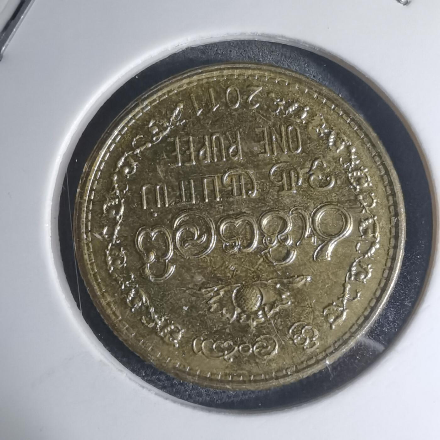 沼泽如烟--第945场