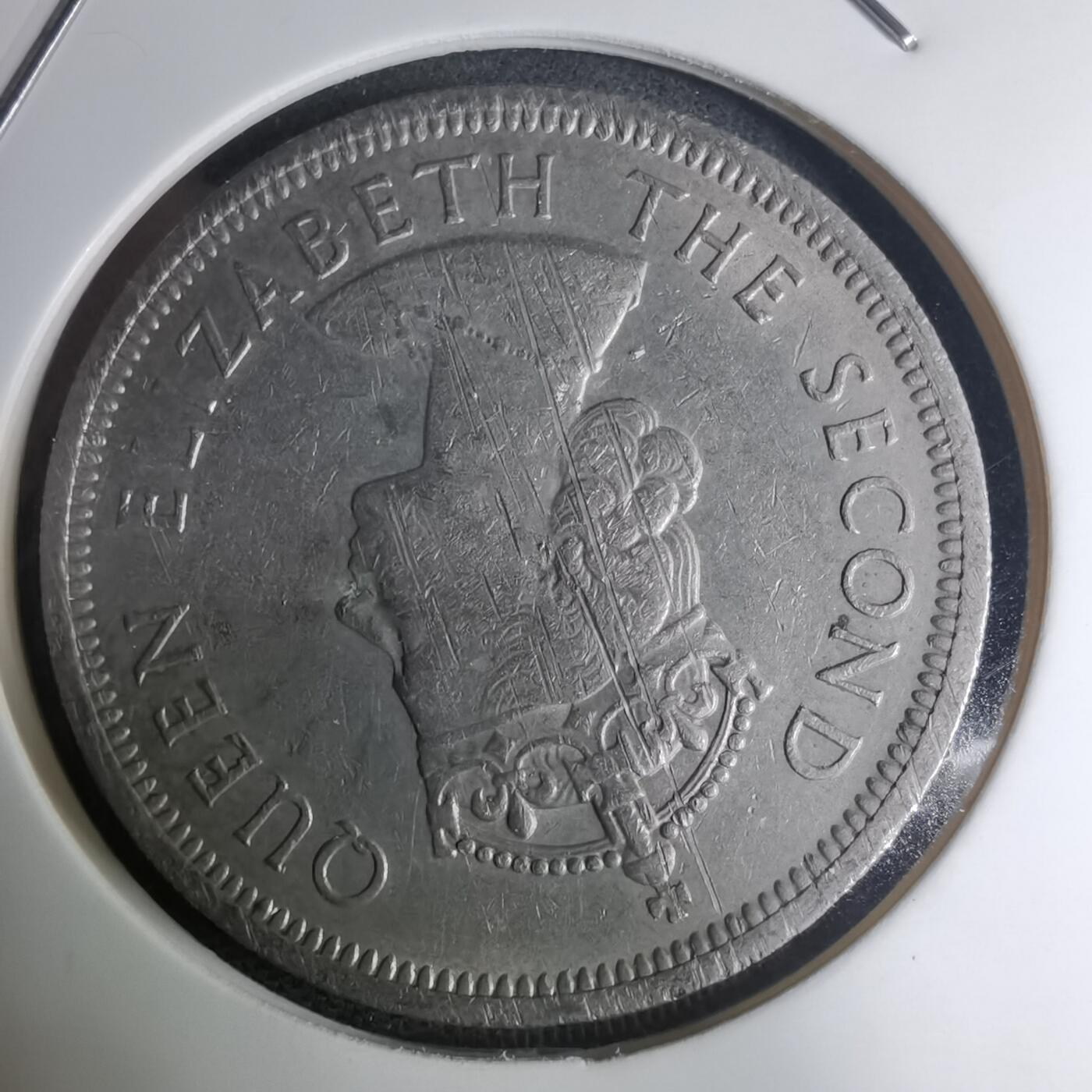 沼泽如烟--第945场