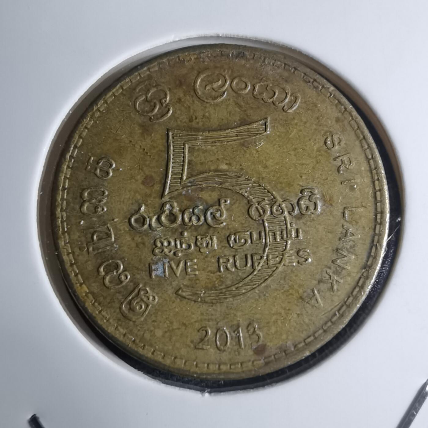 沼泽如烟--第945场