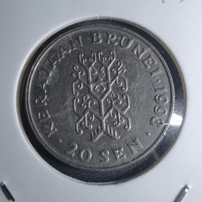 沼泽如烟--第945场 - 文莱1993年20分