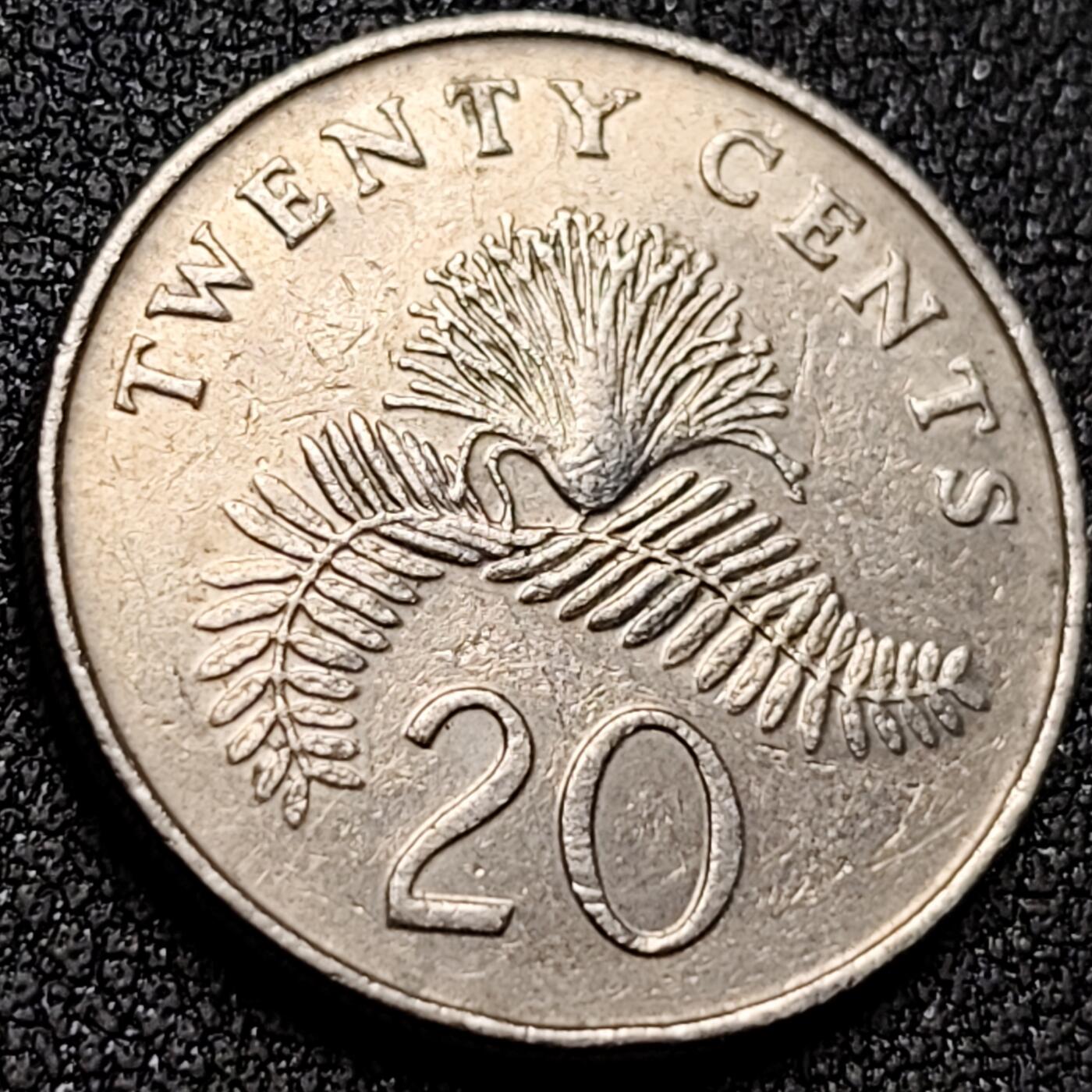 泉币菌-第154场-圣诞节专场 。